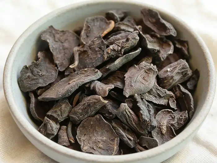 Where to Buy Polygonum Multiflorum?